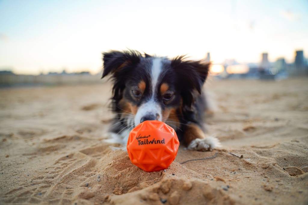 Waboba Tailwind Dog Ball Reydon Sports Plc